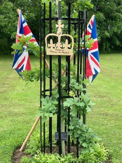 Jubilee Tree3